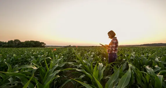 Consulenza su misura
